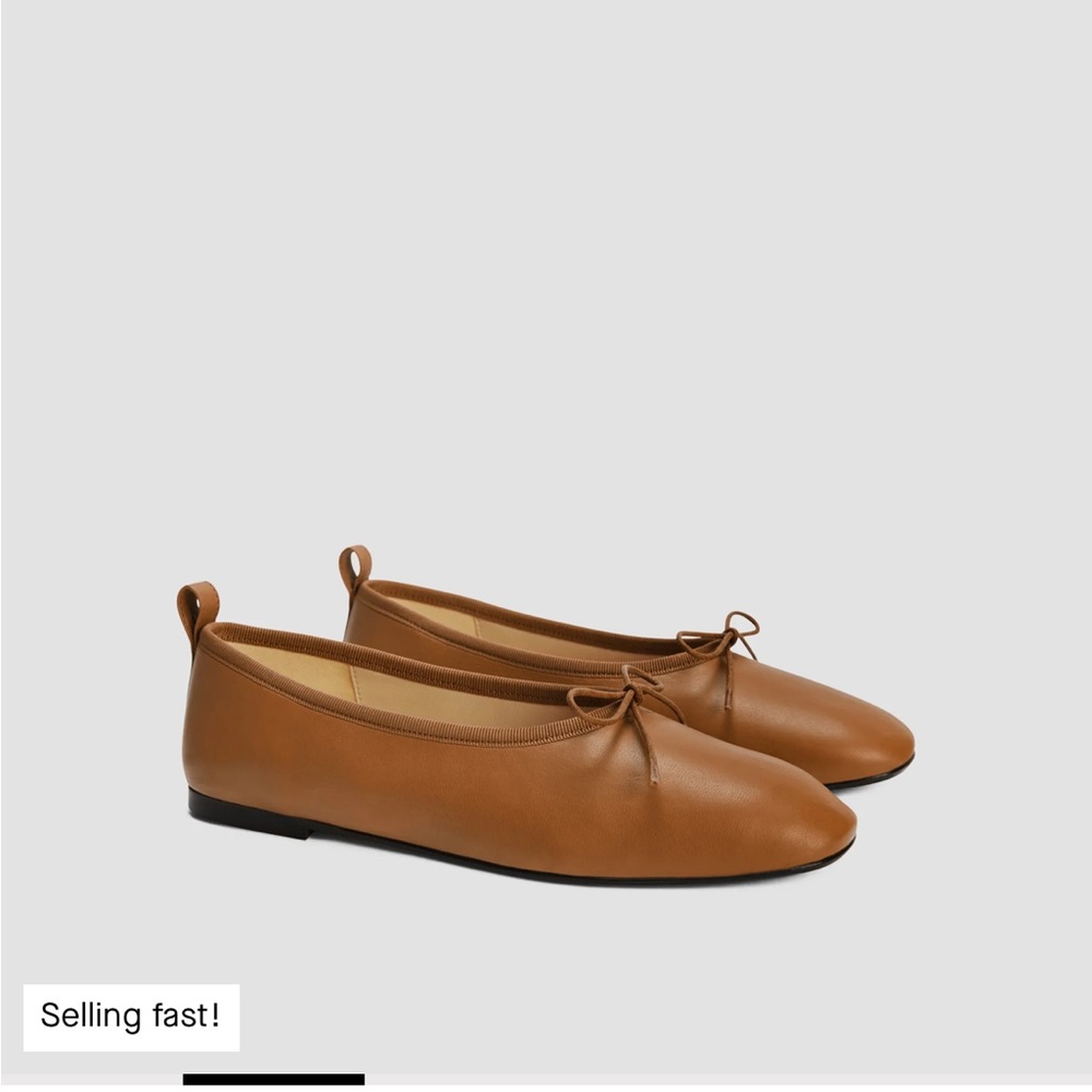 Everlane ballet flats